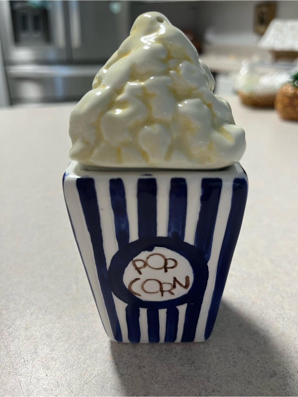 Decorative Blue & White Popcorn Ceramic Salt and Pepper shaker set